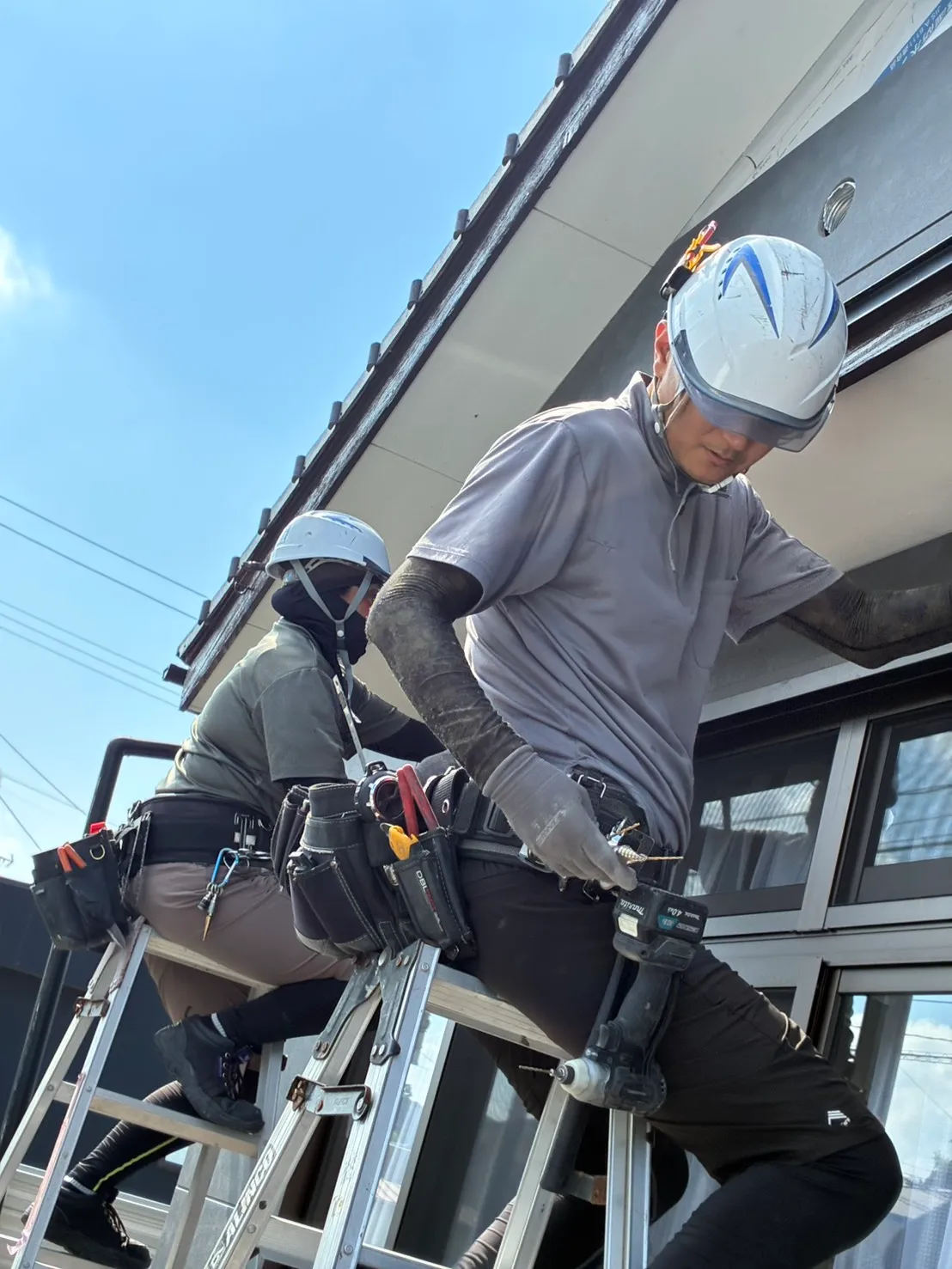 現場作業の様子